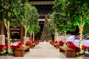 How Artificial Plants Improve Indoor and Outdoor Spaces in Southlake, TX