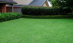 Is Artificial Turf the Future of Landscaping in Northlake TX