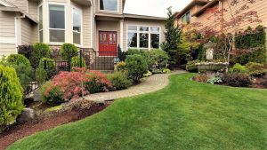 Low-Maintenance Landscaping Ideas for Trophy Club, TX-Homes