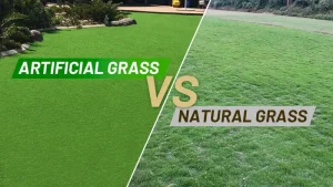 What Are the Advantages of Artificial Turf Over Natural Grass